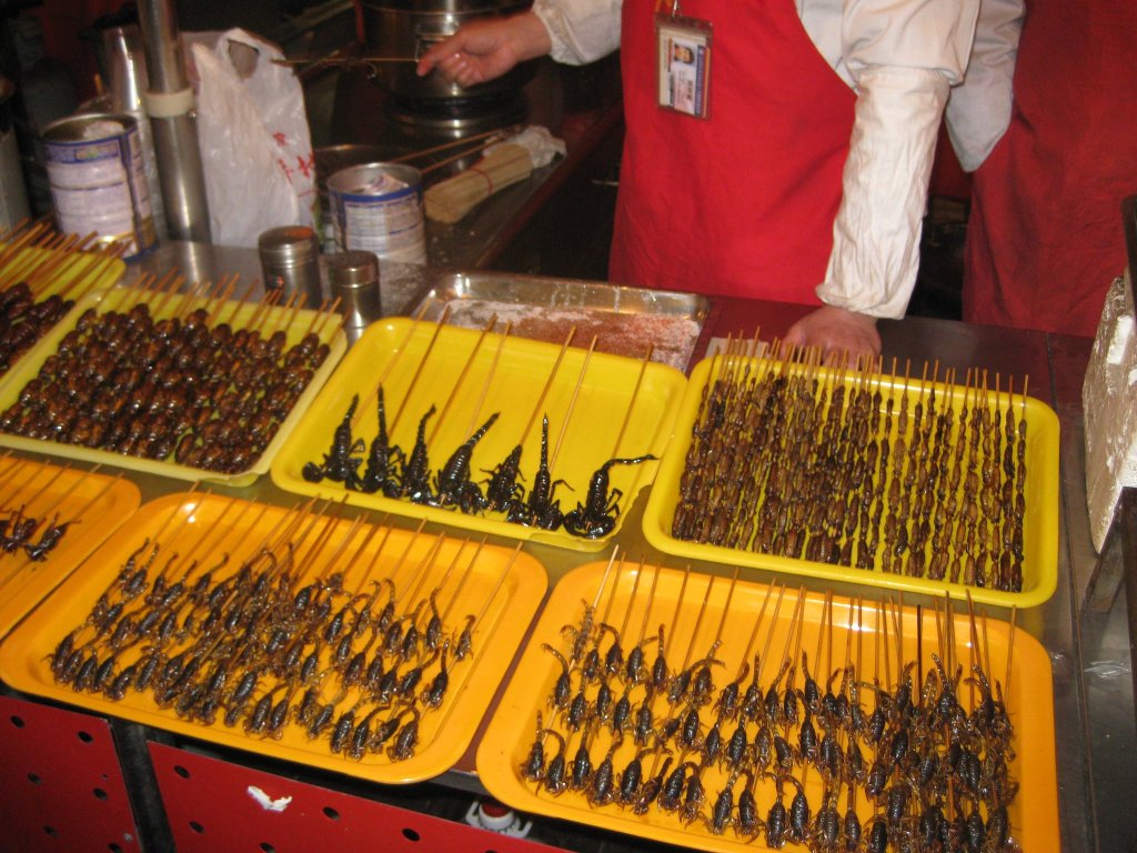 Insect varieties at Beijing Snack Street