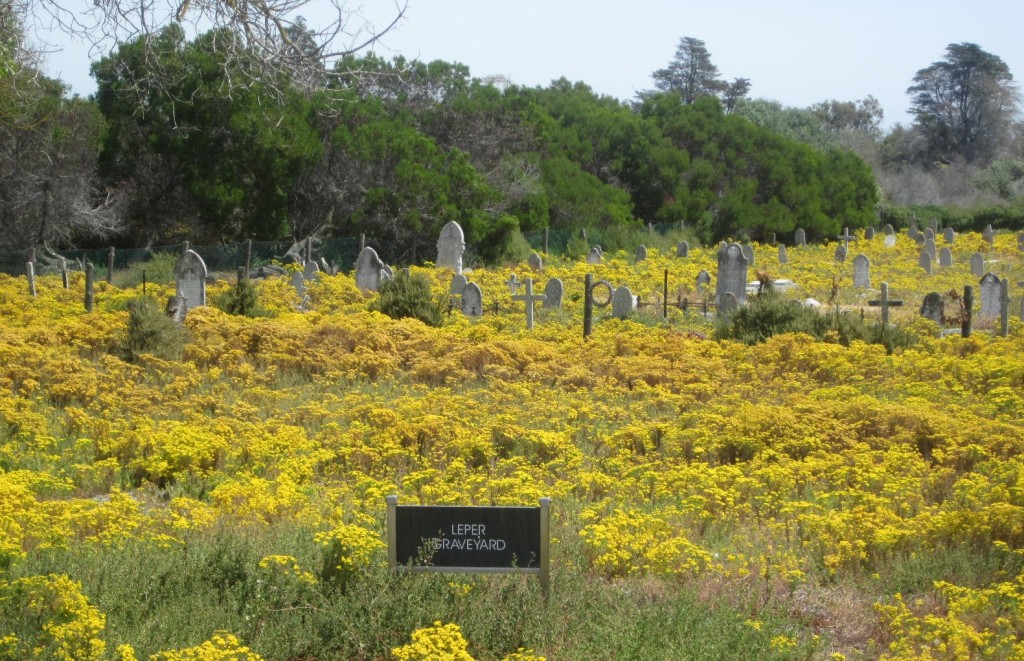 Leper Graveyard. Robben Island