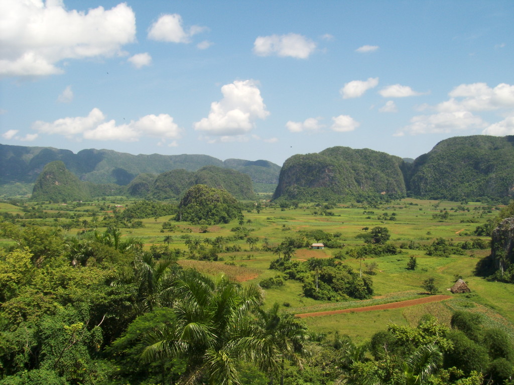 View from Look Out Point