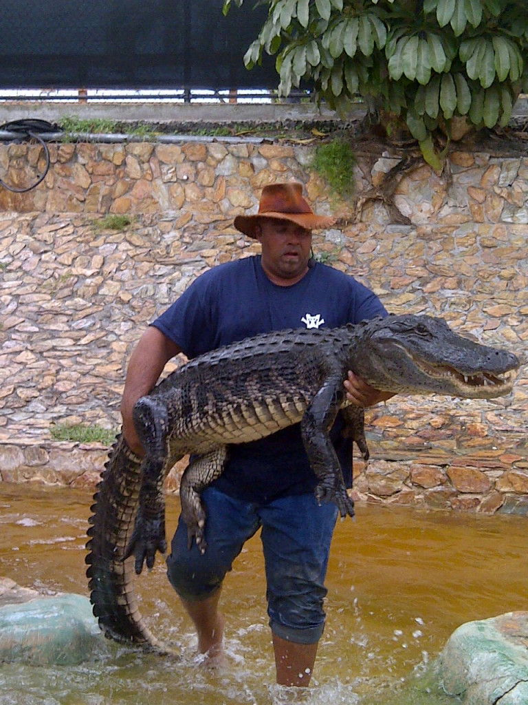 Wrestler carrying an alligator