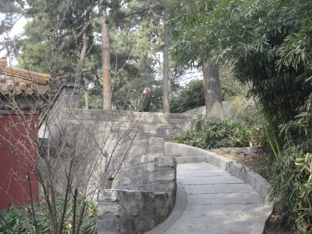 A moment or two away from the crowds, Jingshan Park , beijing