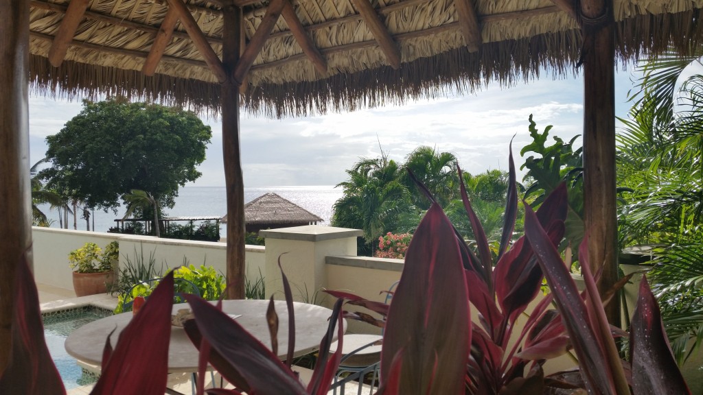 The view and Foliage at Paradise Beach Nevis