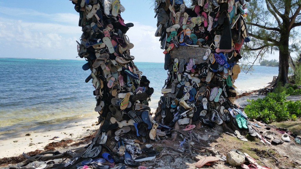 Cayman Shoe Tree on South Sound Road, Grand Cayman