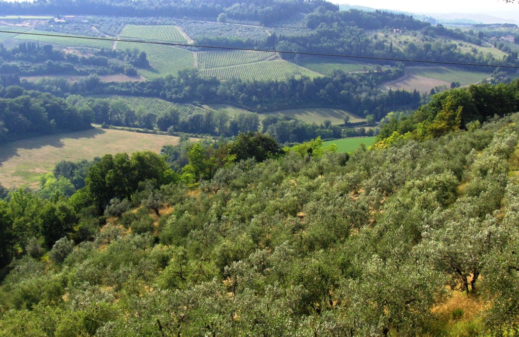 Vie of the gorgeous Tuscany countryside from out patio