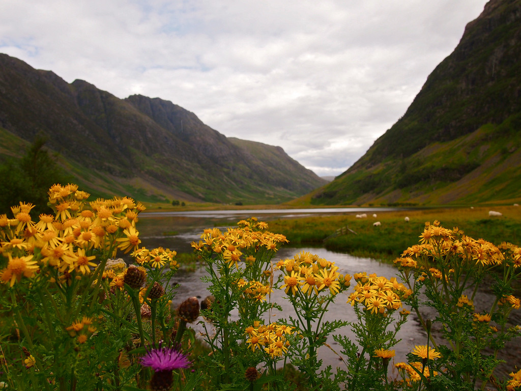 Surreal scenery in the Scottish Highlands Photo courtesy of the internet)