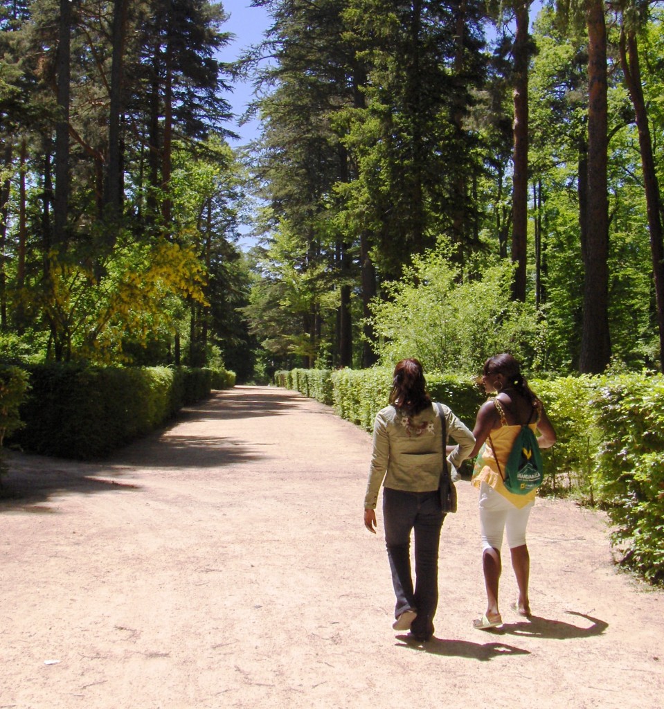 Exploring the gardens