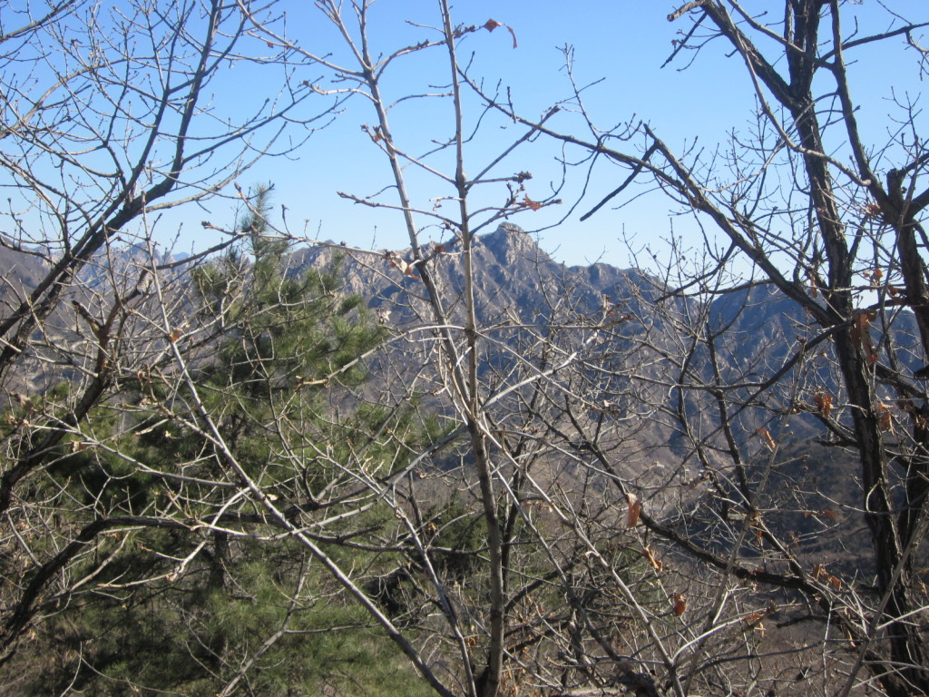 The sparse winter scenery at the Great Wall (March)