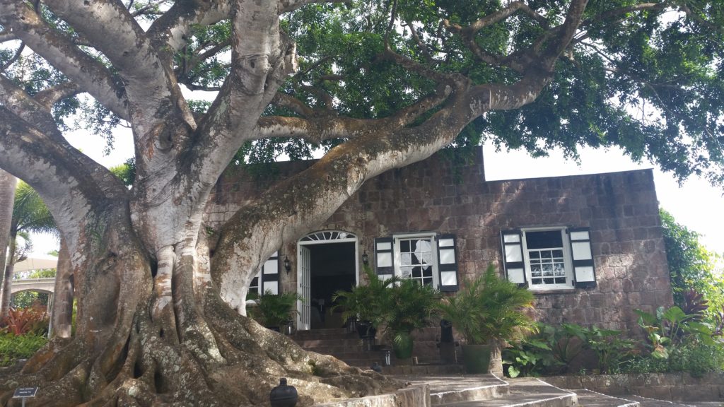 Entrance to Montepelier Plantation, chains away from the Nelson wedding site