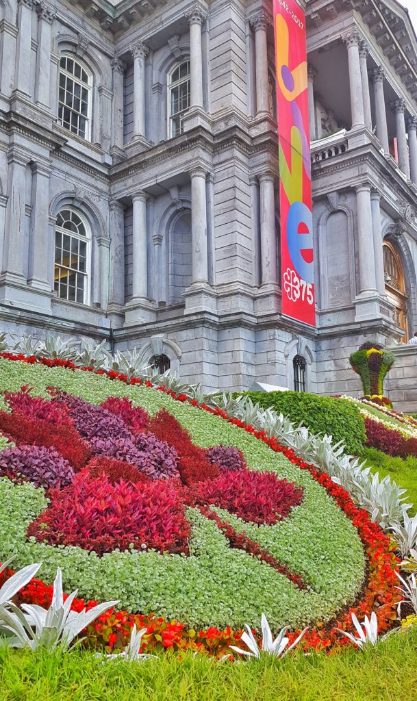 Old Montreal Building and flower maple leaf