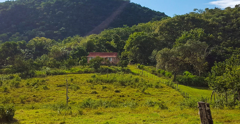 Jamaican countryside